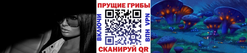 Галлюциногенные грибы Psilocybine cubensis  Купить закладки  Севастополь 