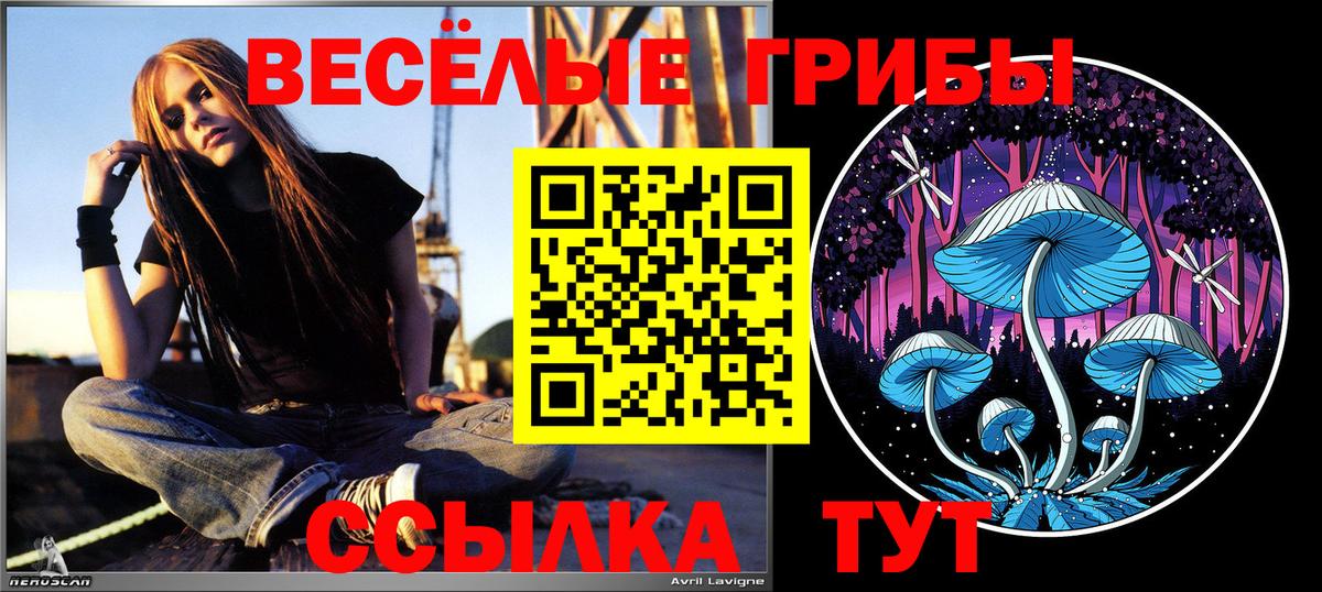 где найти   Псилоцибиновые грибы мицелий  Вход с VPN  Севастополь 