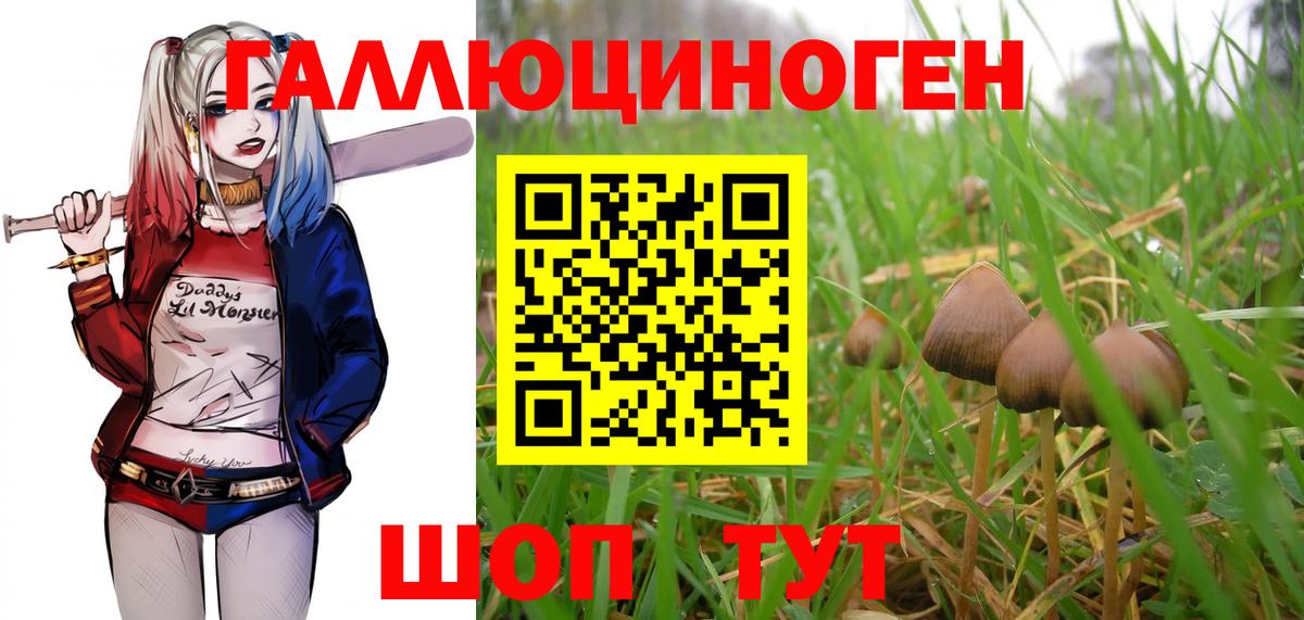 Меф кристаллы  Гашиш  MDMA  ТГК  Севастополь  Вход с VPN  Канабис 