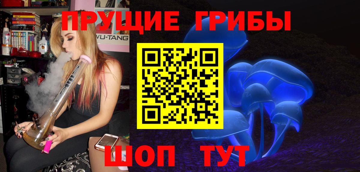 Псилоцибиновые грибы мицелий  Севастополь 